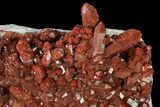 Natural, Red Quartz Crystal Cluster - Morocco #158536-1